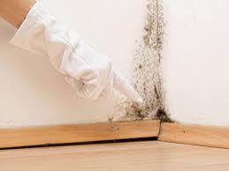 Best Asbestos and Lead Testing During Mold Inspection  in West Hattiesburg, MS